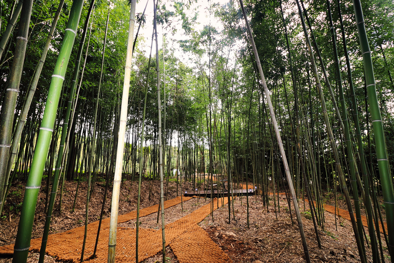 겨울글램핑장추천