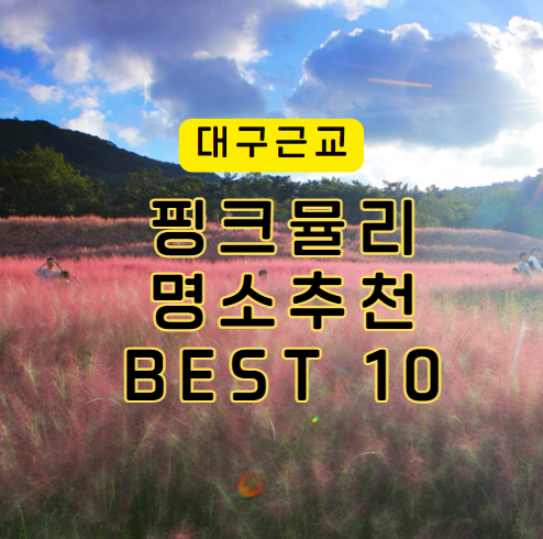 대구근교-핑크뮬리-명소추천-BEST10