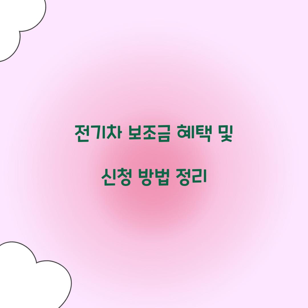 전기차 보조금