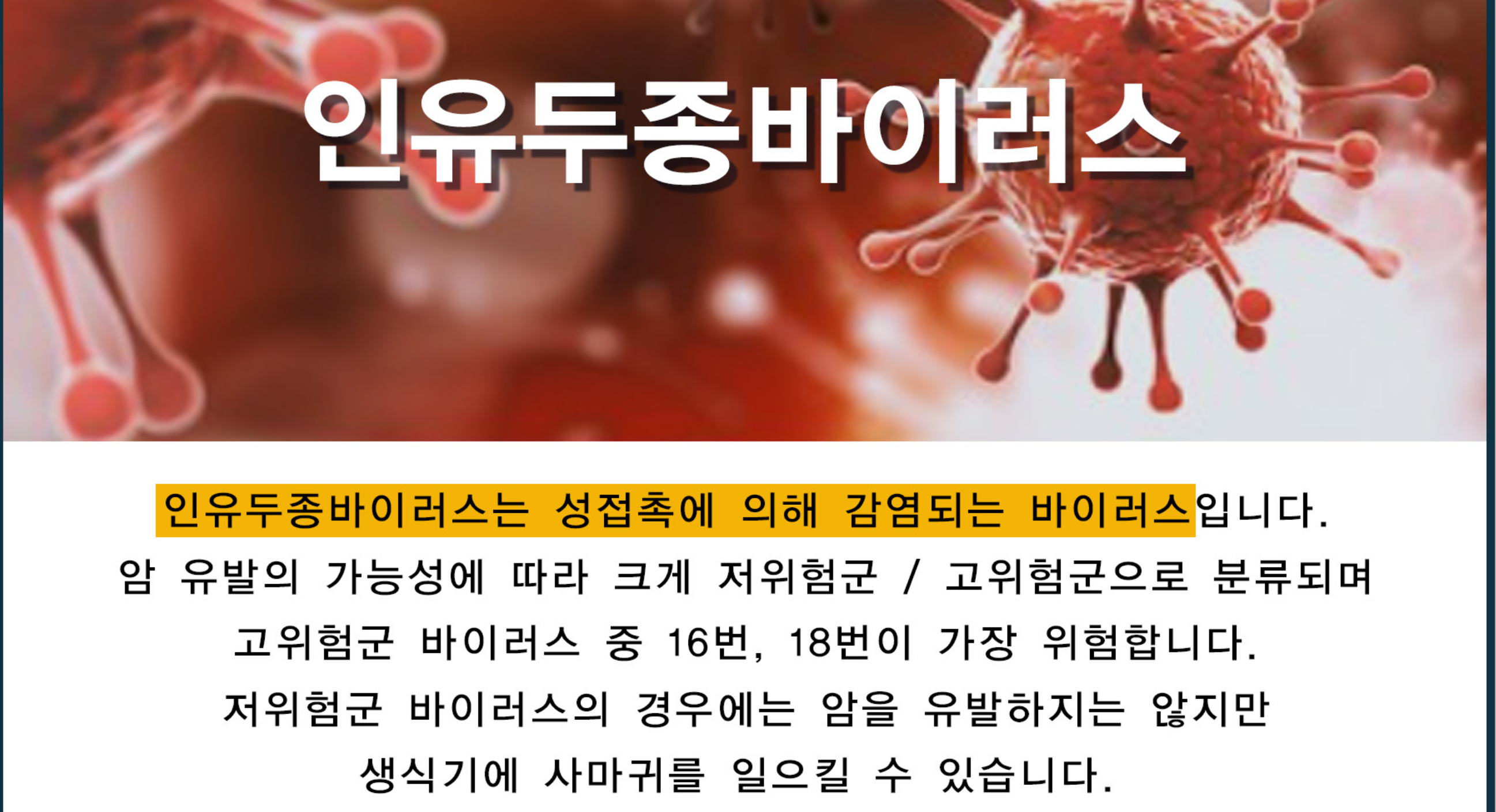 자궁경부암 증상 및 원인