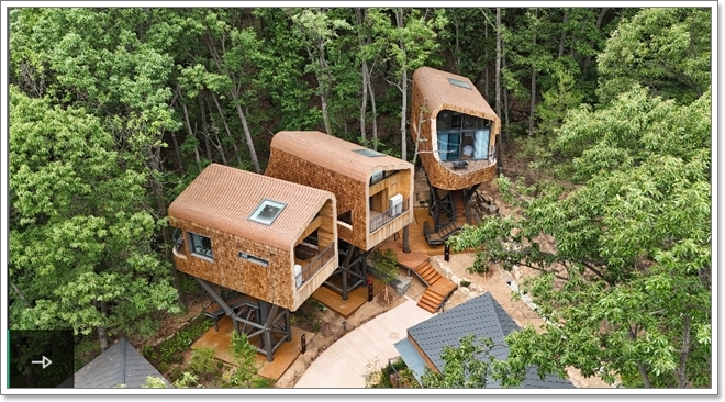 서울 자연휴양림 수락휴 트리하우스 예약방법