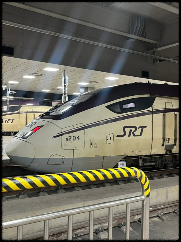 2025년 4월 SRT 고객감사제 할인 적용 열차 시간표 총정리