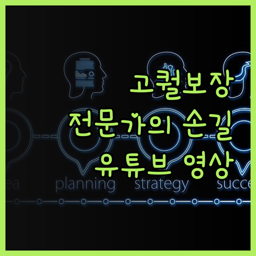 유튜브 영상, 퀄리티를 보장하는 전문