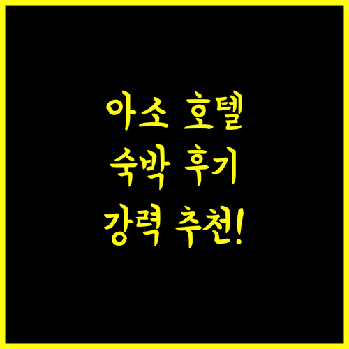 아소 플라자 호텔 숙박 후기! 깨끗한