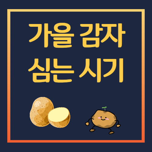 가을감자 심는 시기