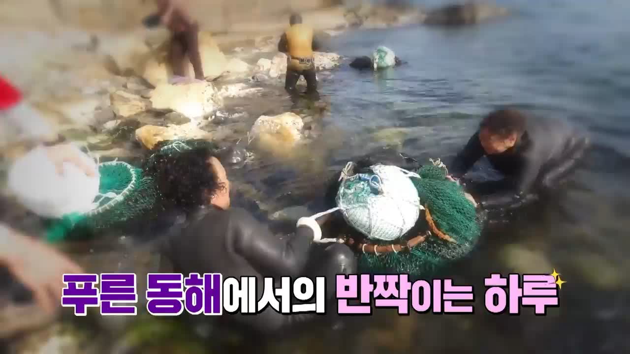 강원도 동해 추천 카페, 문어 택배 판매 맛집