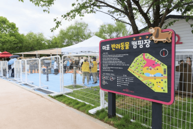  마포구 반려동물 캠핑장