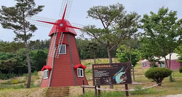 영천청제비