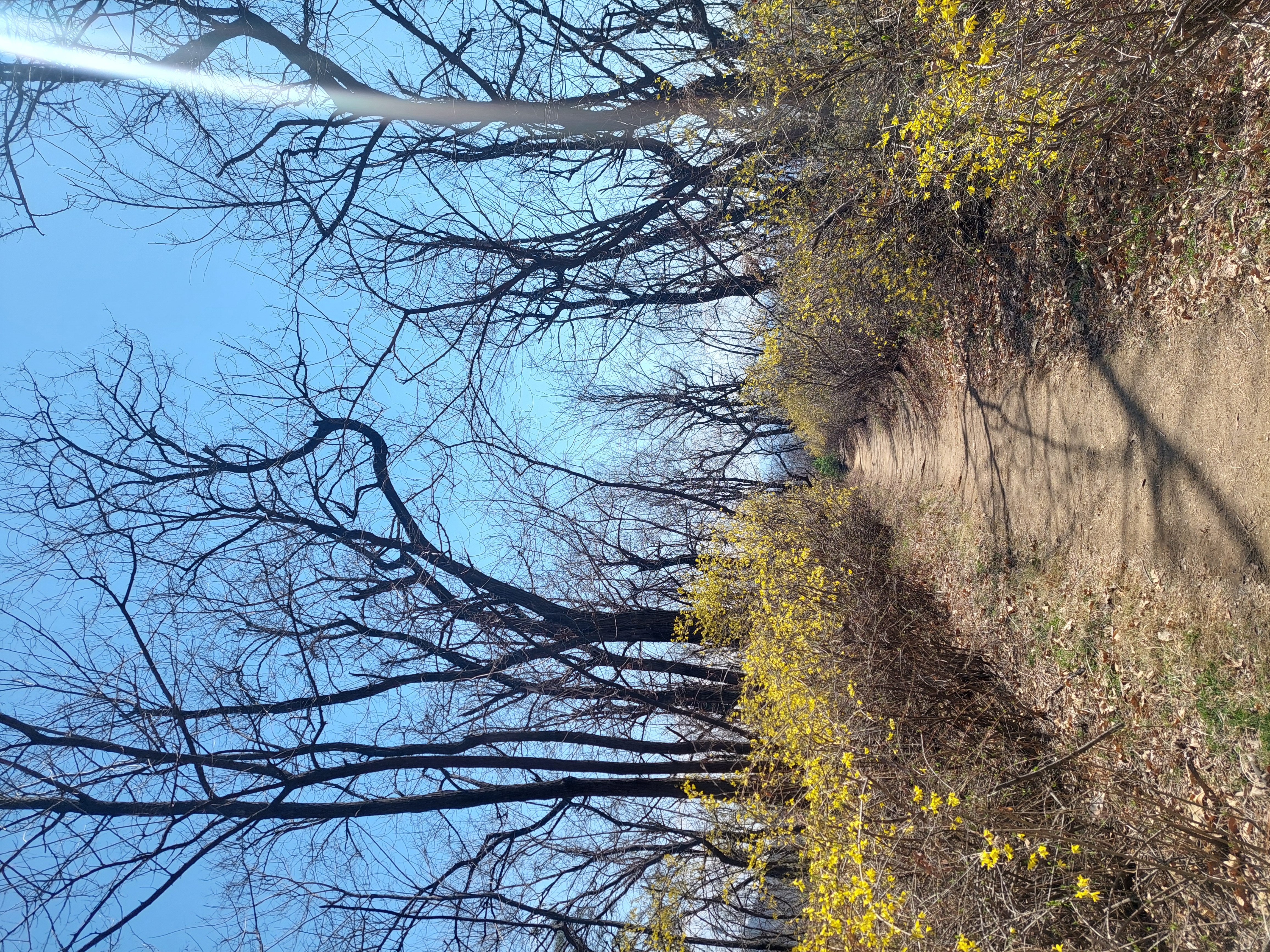 안산