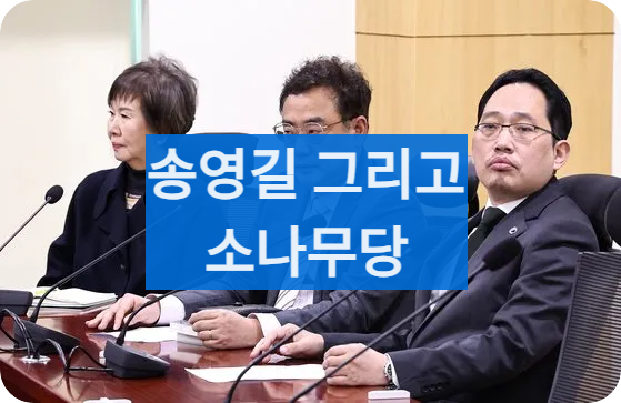 송영길테마주소나무당