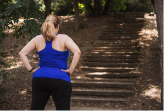 비만치료제 관련주