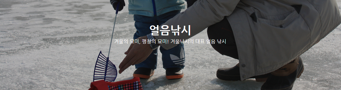 평창송어축제