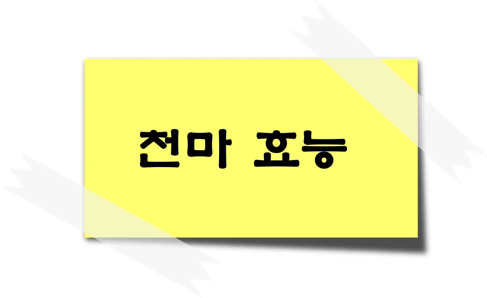 천마 효능