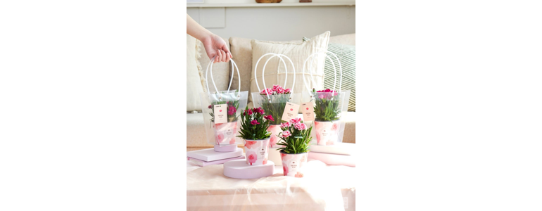 경기도 광주 종합생활용품 다이소