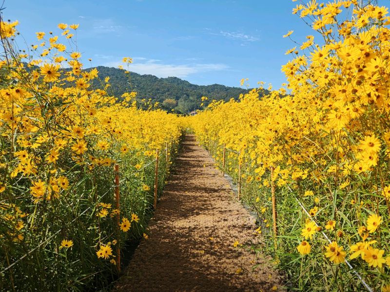 황룡강생태정원