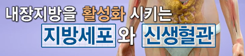 락토페린 효능