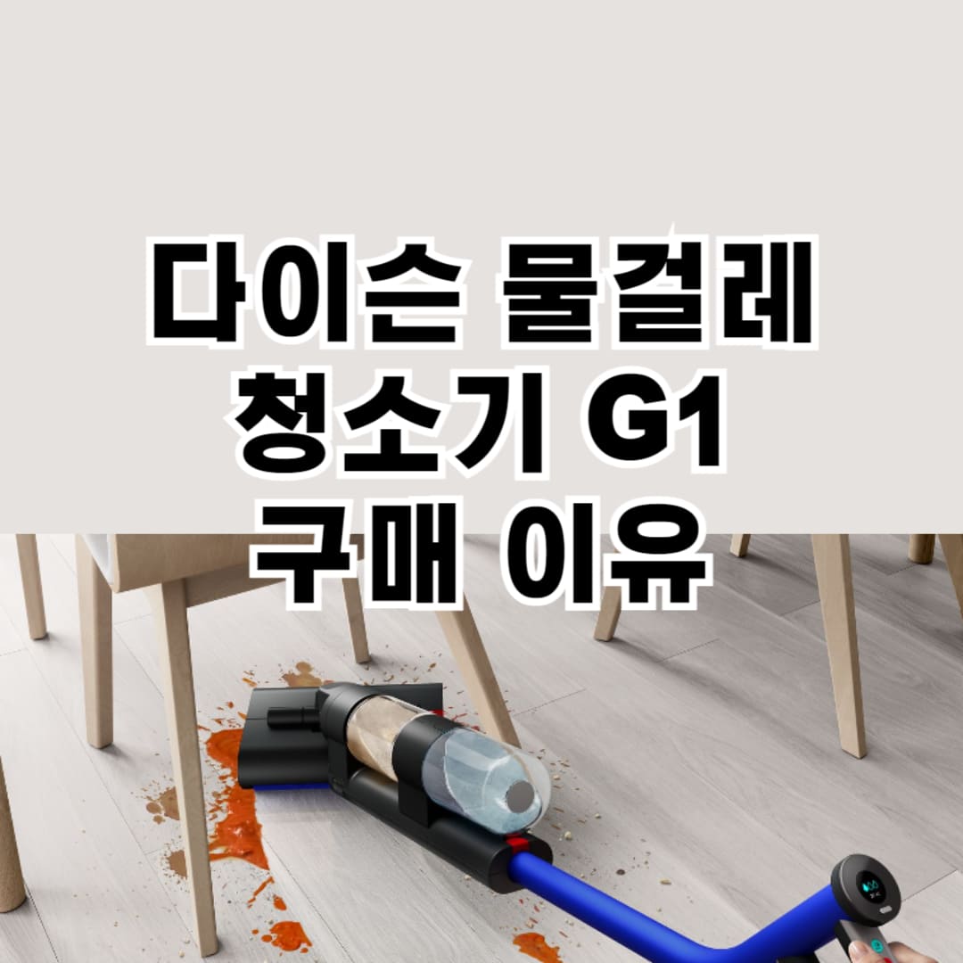 다이슨 물청소기 Wash G1 성능 안내