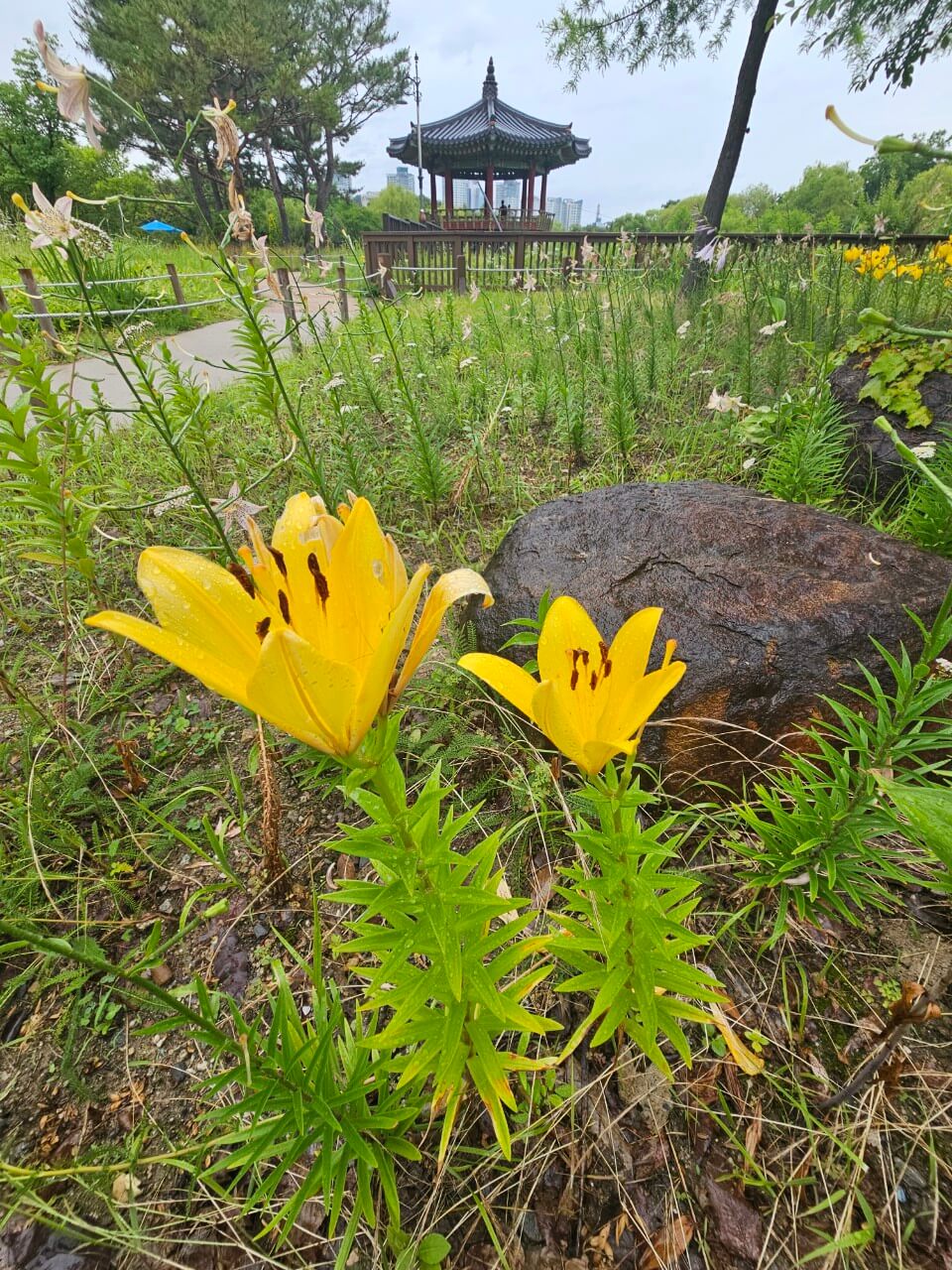 여성장애인 특화 복지정책 해외 사례