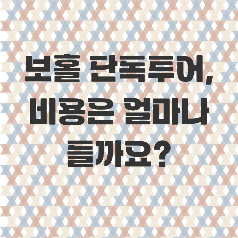 보홀 단독투어_2