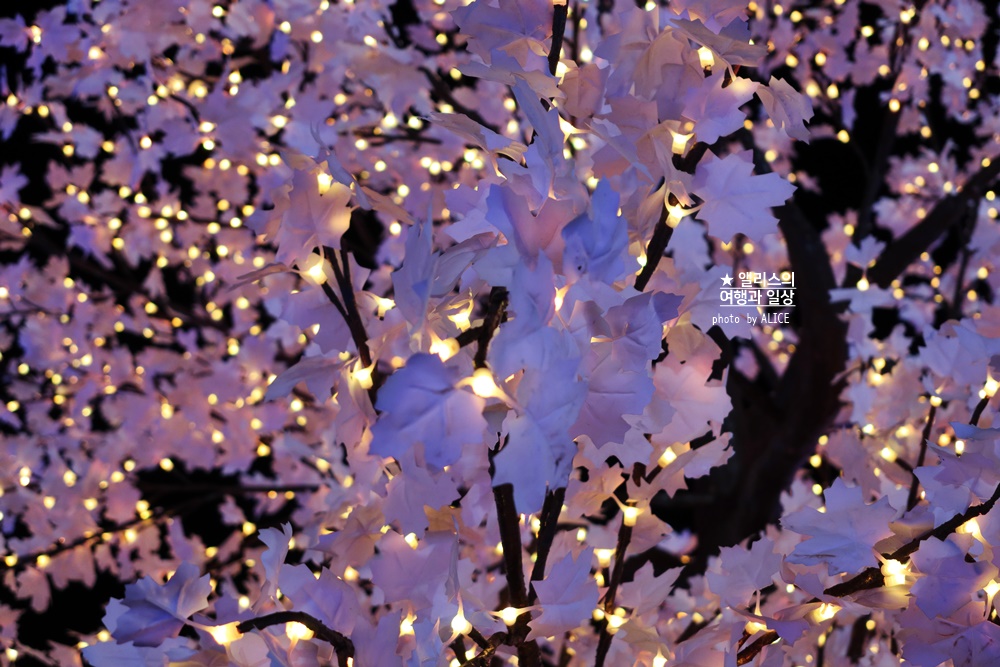 2022 제 9회 해운대 빛축제 빛의 바다 기본정보 위치 시간