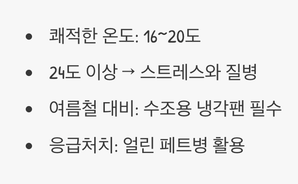 가장 중요한 단 하나의 규칙, 시원함