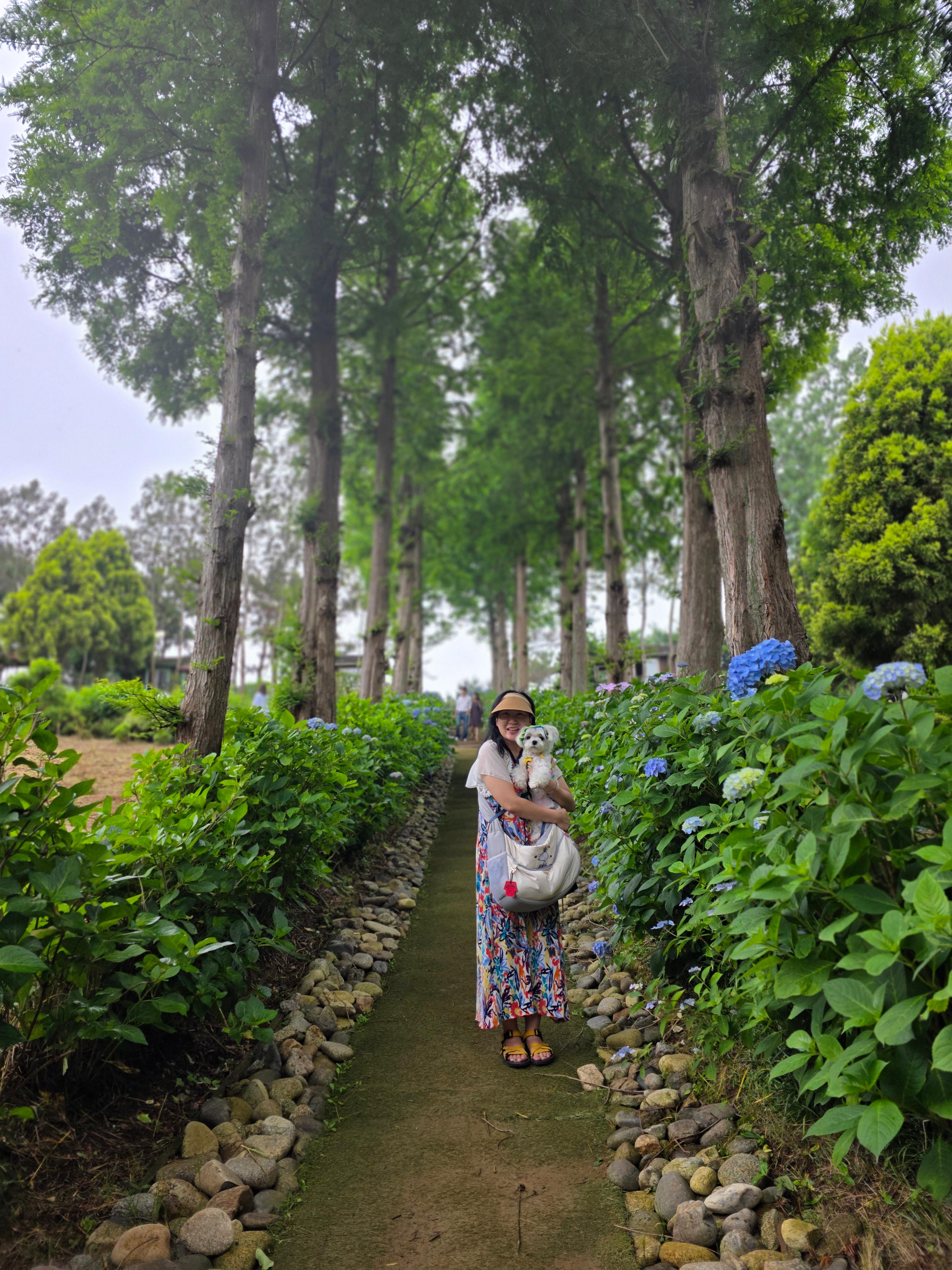 팜카밀레 허브농원에서 라떼와 찍은 사진