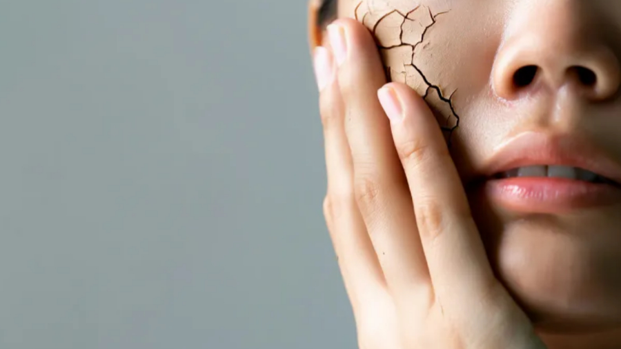 egf, igf, fgf 함유 앰플 재생크림 화장품 고르는법