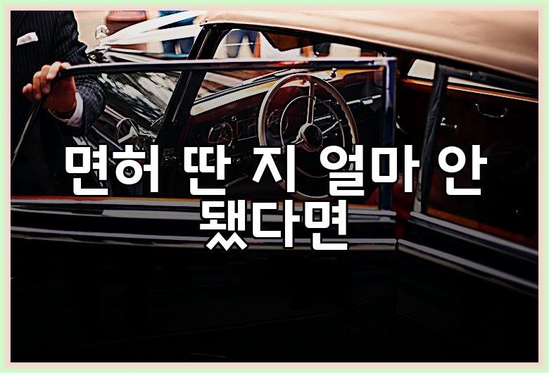면허 딴 지 얼마 안 됐다면