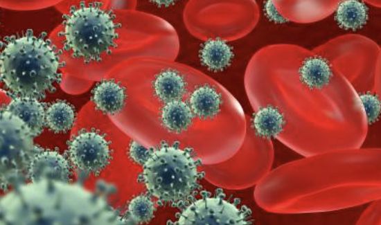  Monocyte 수치