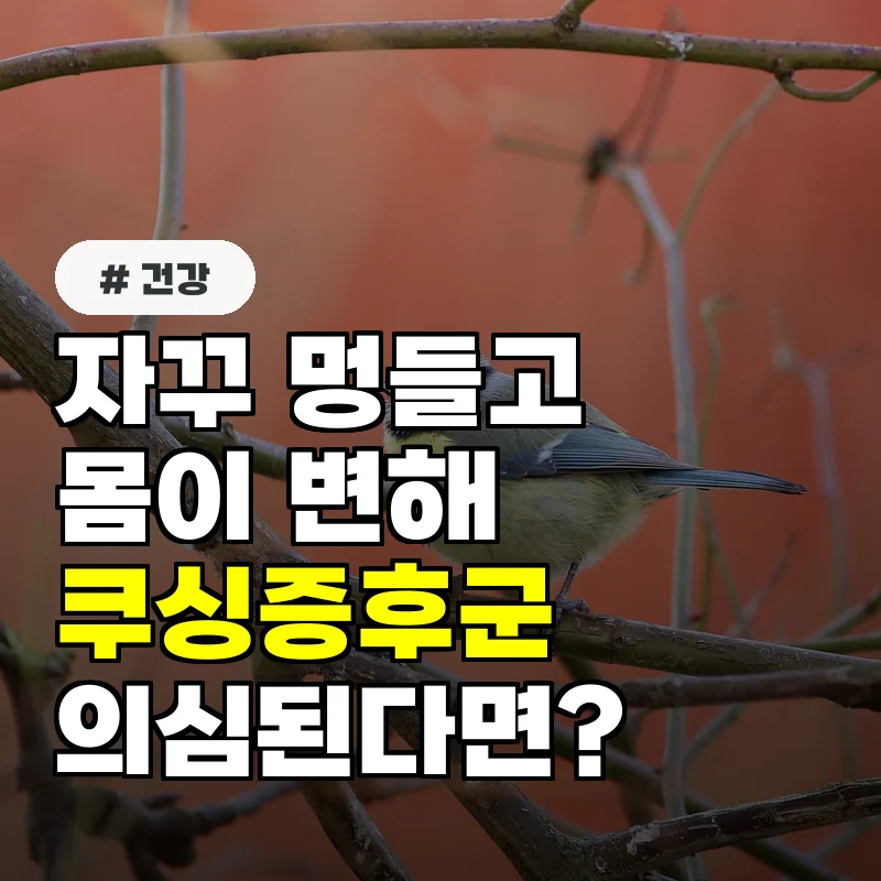 자꾸 멍들고 몸이 변해...쿠싱증후군 의심된다면 꼭 해야 할 검사 절차