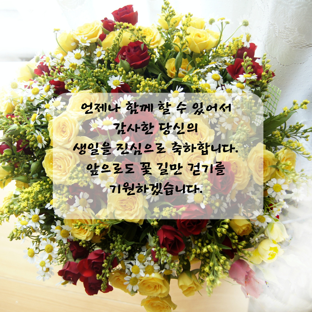 간단한 생일 축하 문자 메세지 꽃다말 이미지 인사 글귀 모음