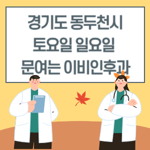 경기도 동두천시 토요일 일요일 이비인후과 진료 문여는 병원 리스트