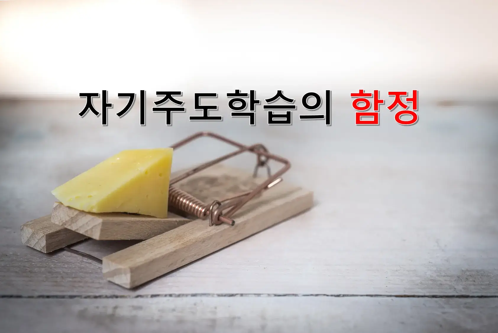 자기주도학습의 함정