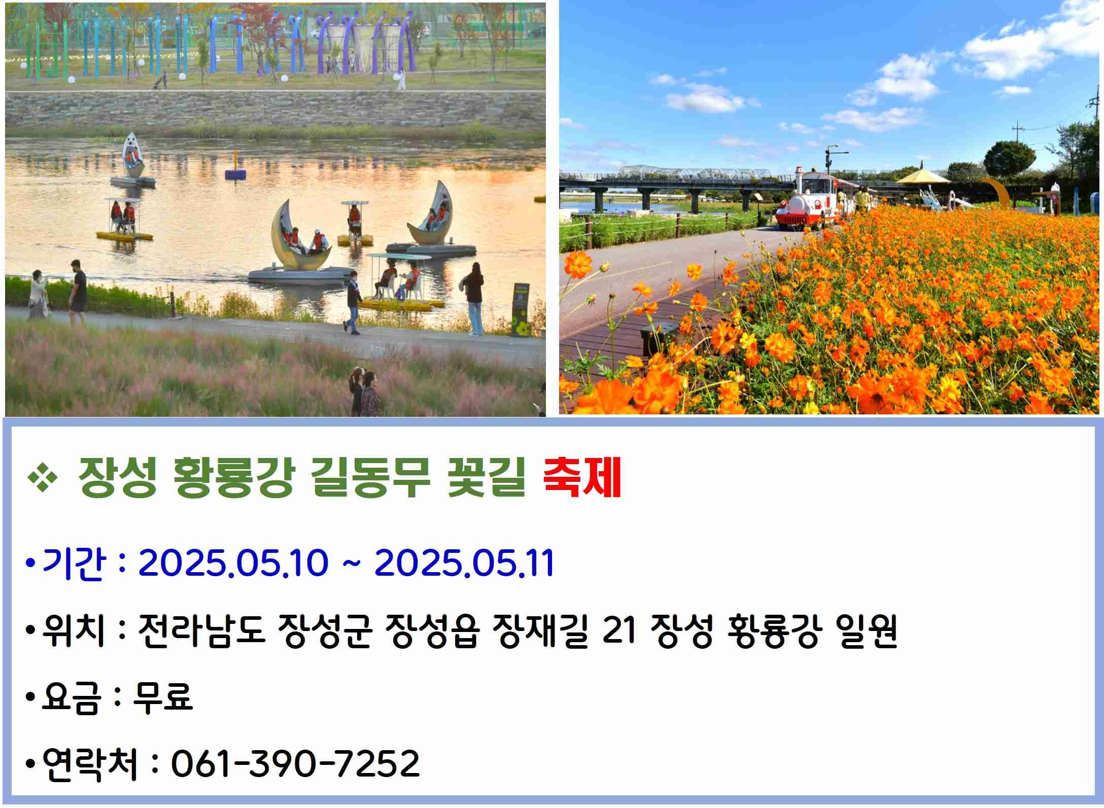 장성 황룡강 길동무 꽃길 축제