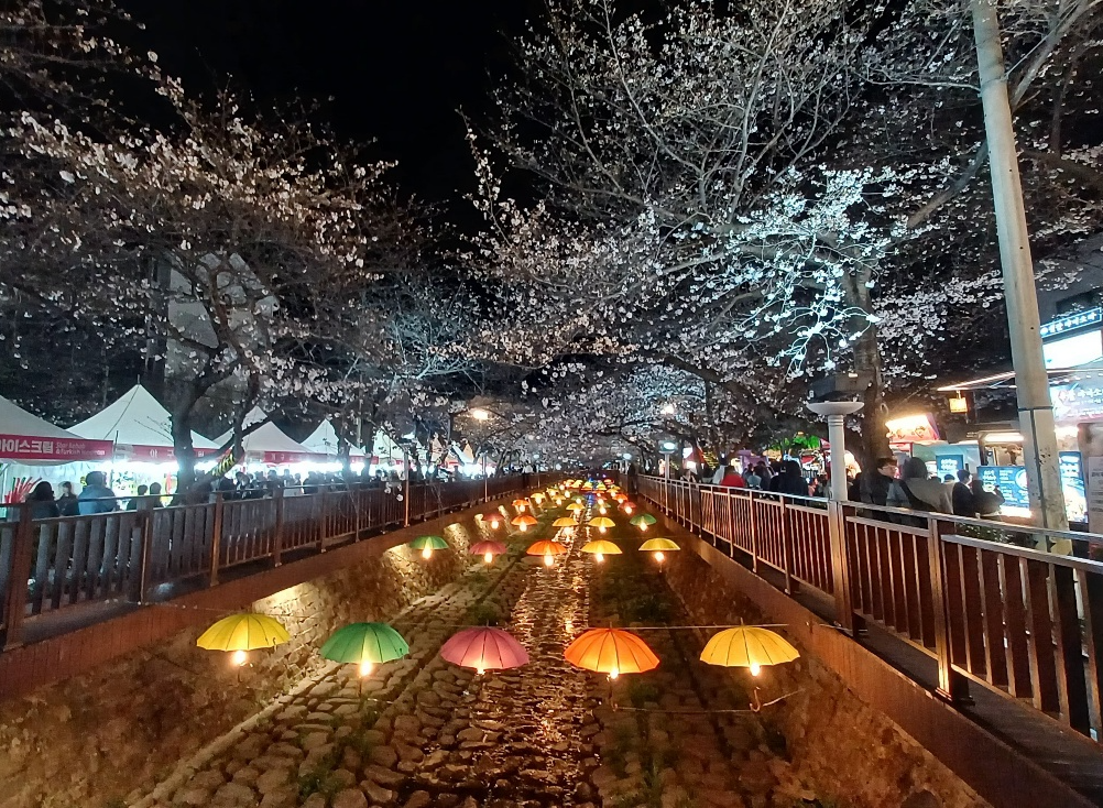 진해 벚꽃