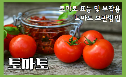 토마토 효능 8가지와 부작용 및 보관방법