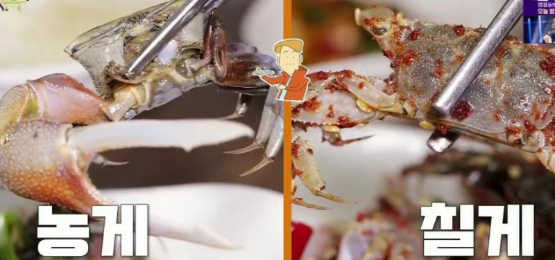 농게와 칠게의 차이