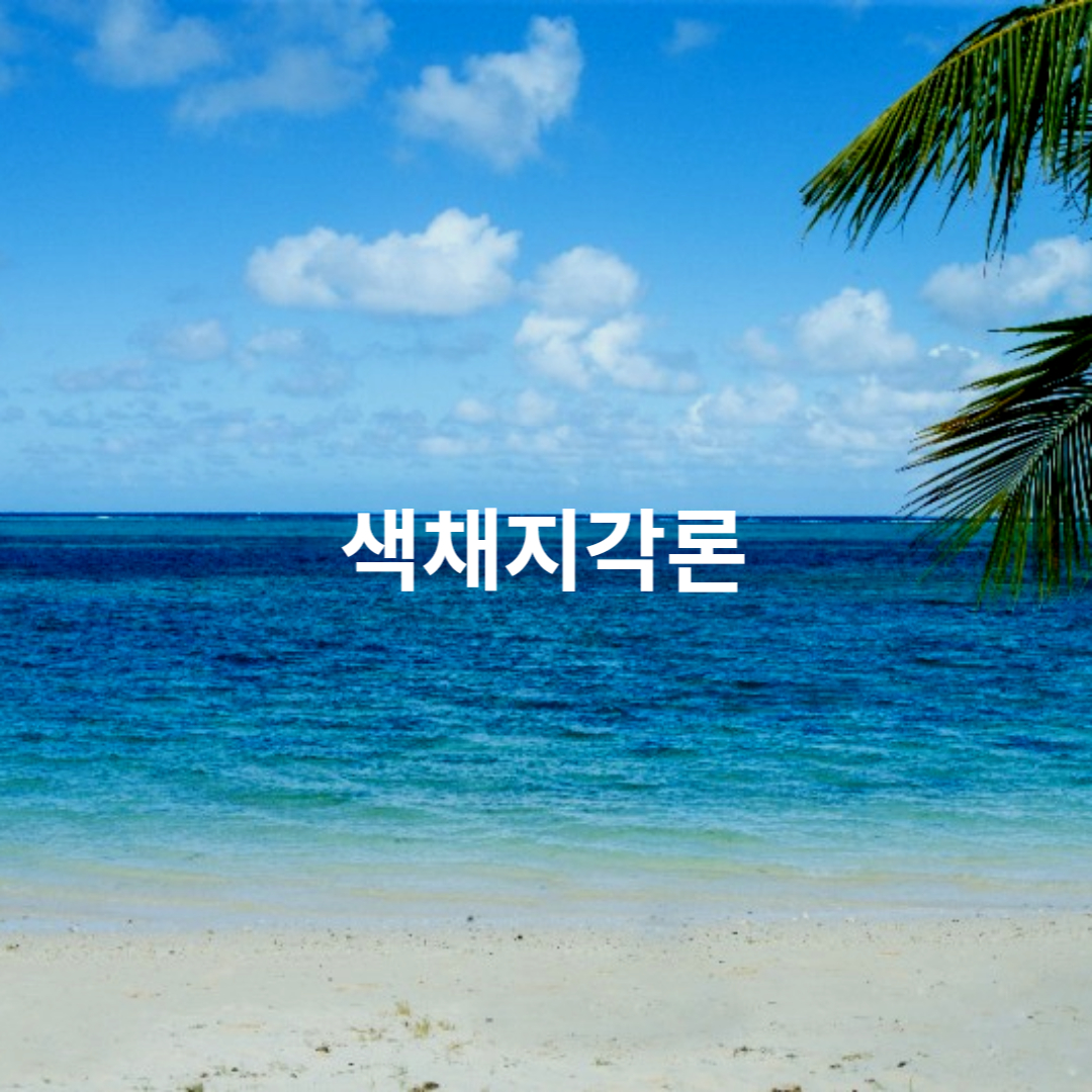 색채지각론