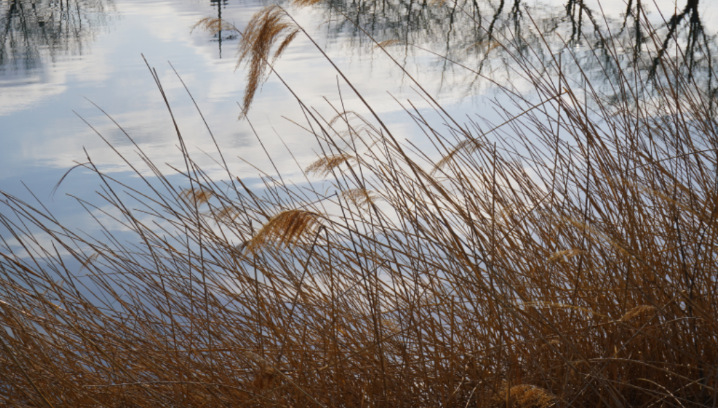 넷째 주 (9월 16일 ~ 22일)