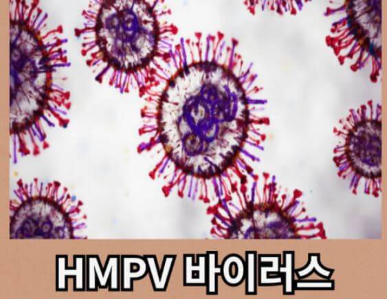 HMPV전염원인