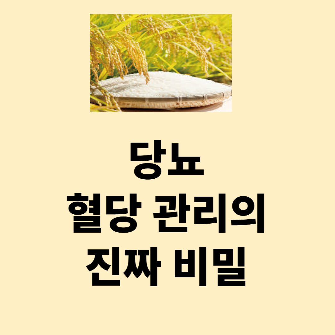 당뇨 혈당 관리법의 진짜 비밀-바나듐 쌀