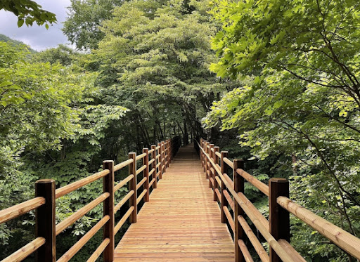 운문산 자연휴양림 숲속의 집