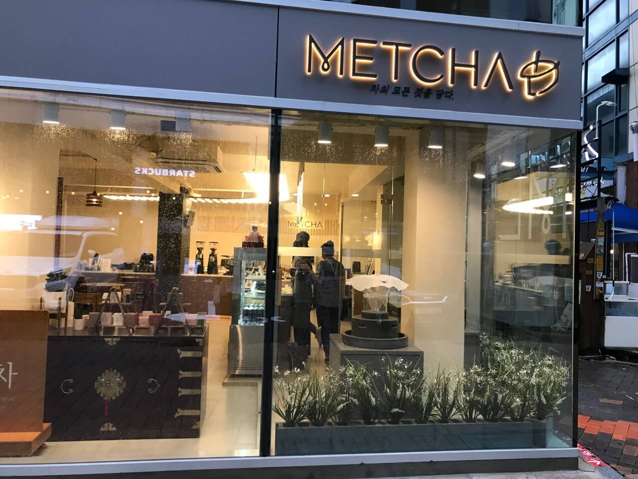 맷차