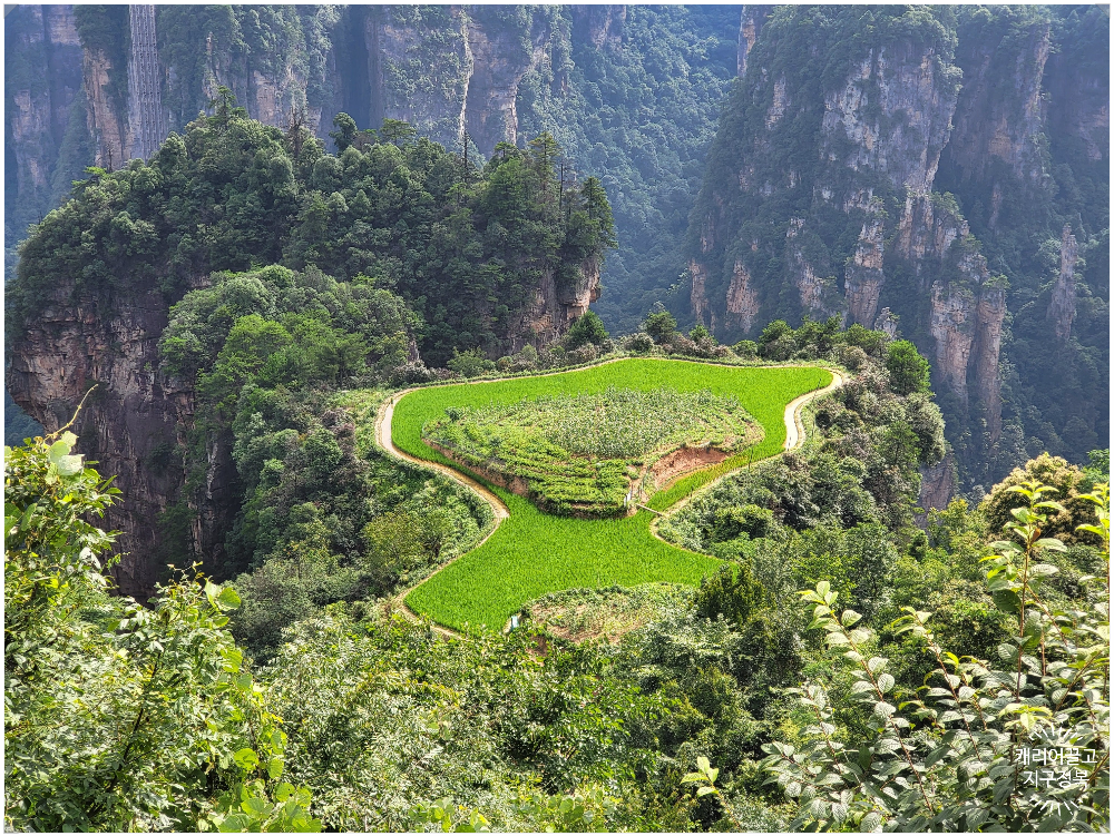 장가계 천자산 공중전원