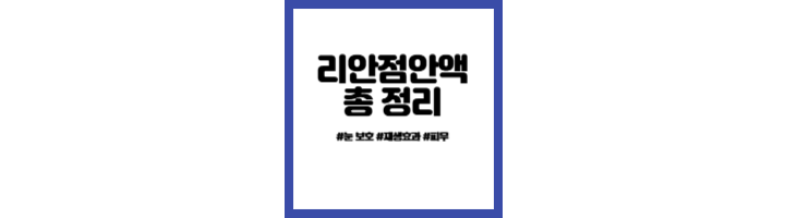 리안점안액총정리