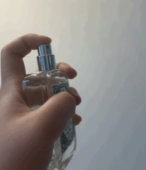 알파무드 향수 내돈내산