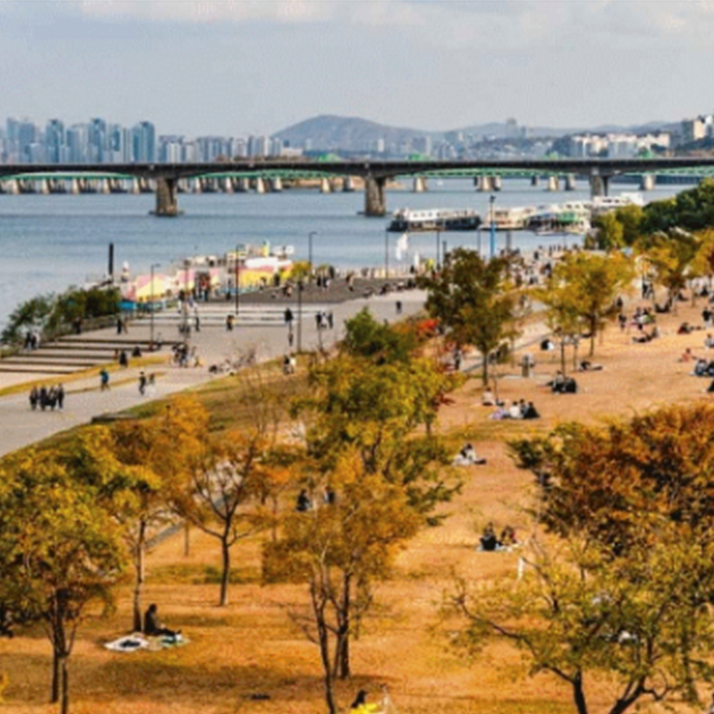 여의도 한강공원