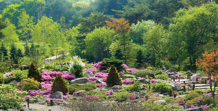 평강랜드