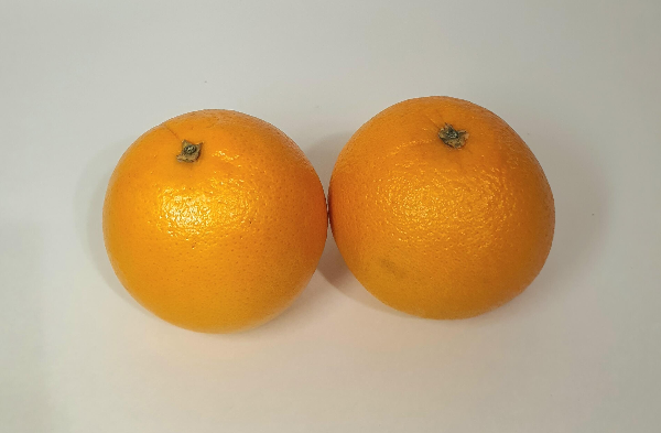 일반오렌지와 카라카라 오렌지 차이점