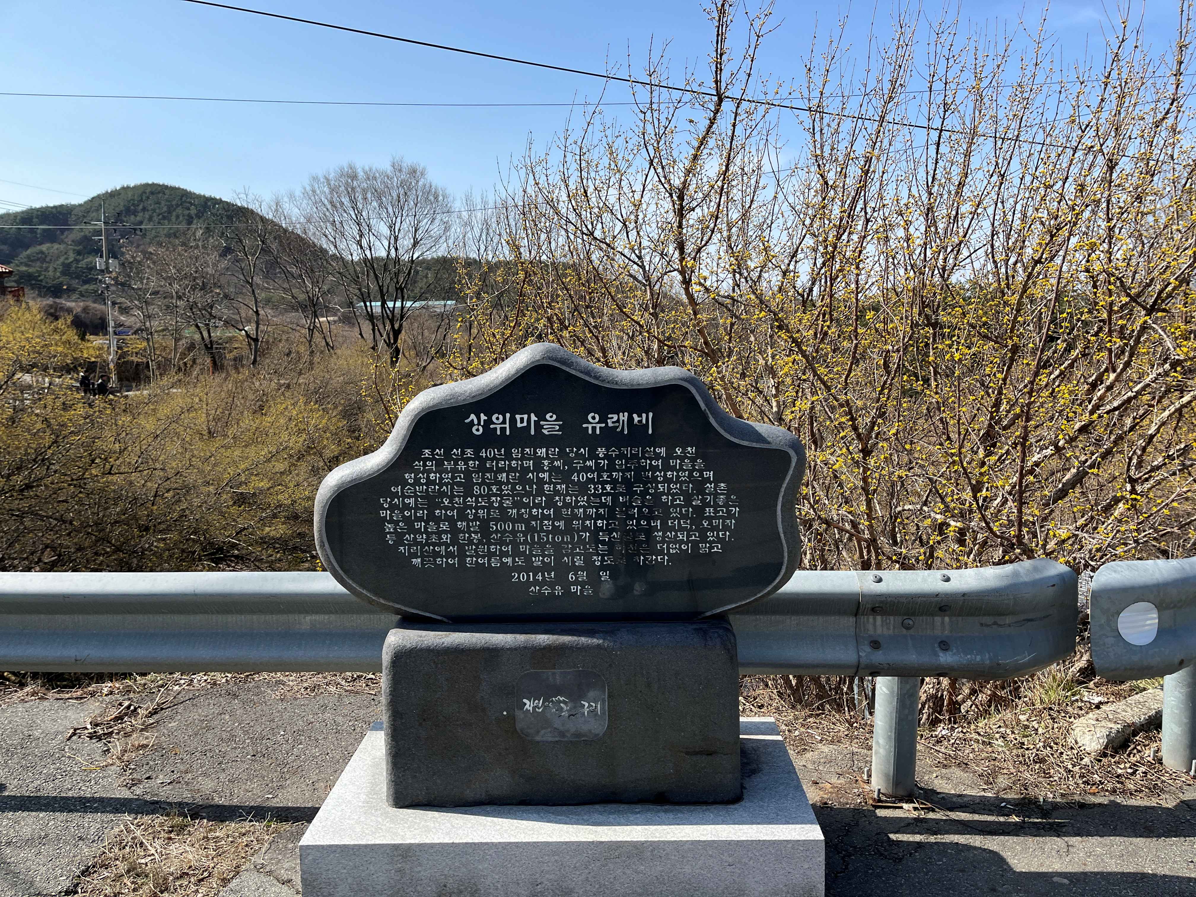 구례 산수유마을